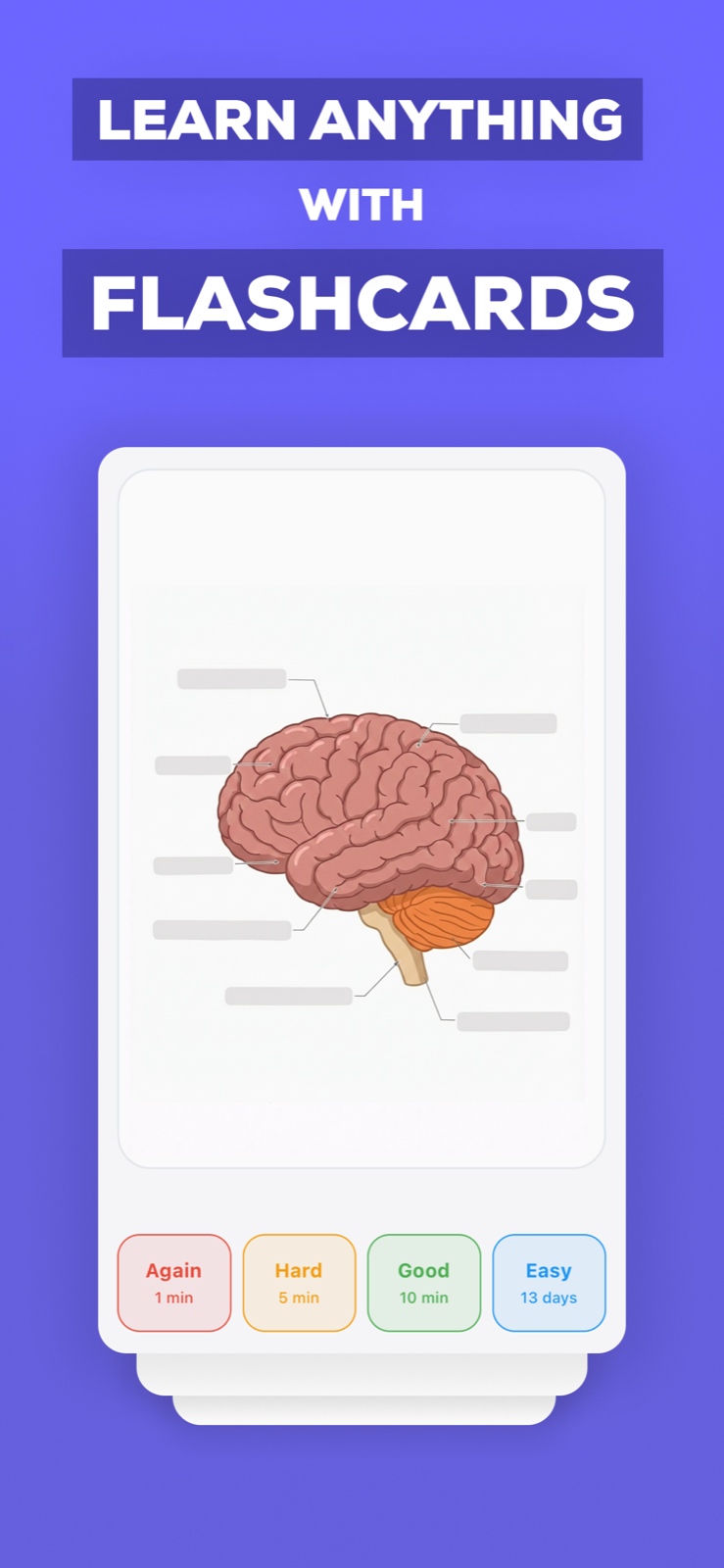 AI Flashcards iOS app showing AI-powered flashcard generation